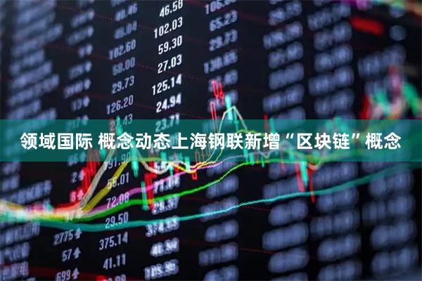 领域国际 概念动态上海钢联新增“区块链”概念