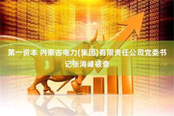 第一资本 内蒙古电力(集团)有限责任公司党委书记张海峰被查